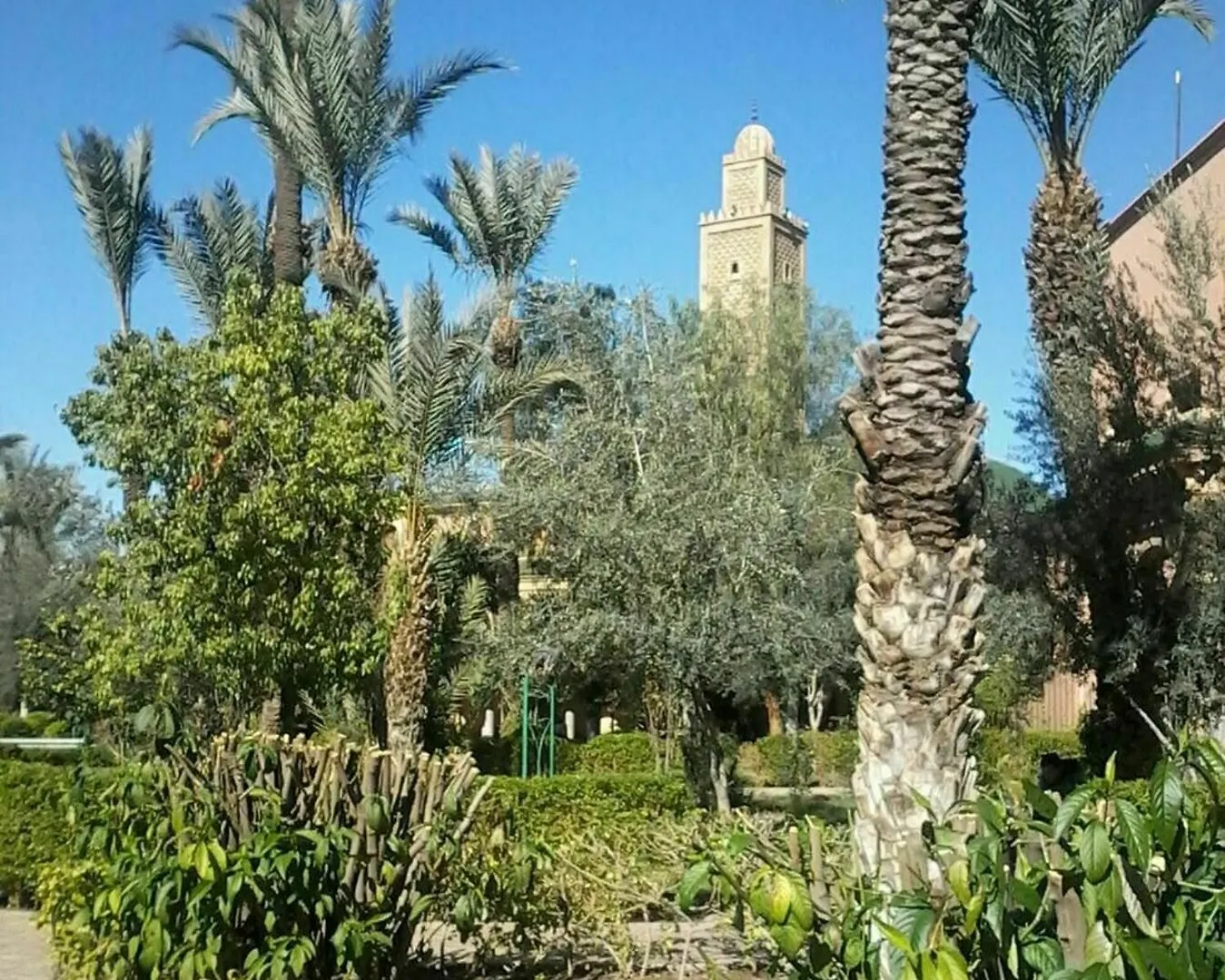 House With 3 Bedrooms In Marrakech, With Pool Access, Furnished Garden Marrakesh Morocco